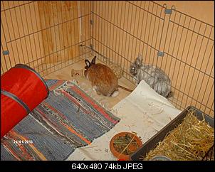 Neues von Bommel & Bubble den Panzerknackern-k800_bommel-bubbel-052.jpg