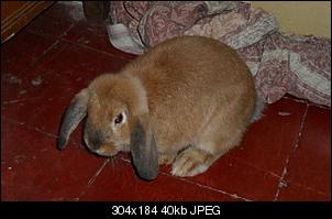 fotos von sophie und charlie-sdc11325klein.jpg