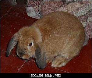 fotos von sophie und charlie-s-klein.jpg