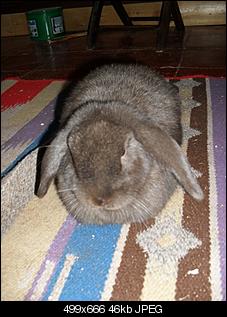 fotos von sophie und charlie-sdc11329klein.jpg