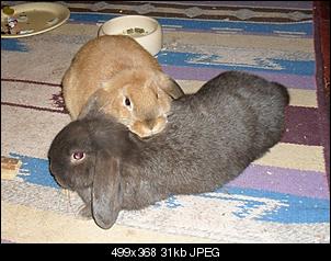 fotos von sophie und charlie-sophie-liegt-auf-charlie.jpg