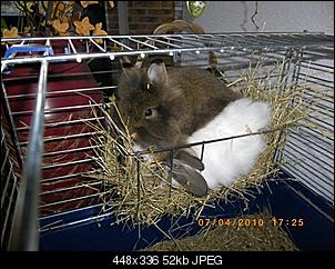 Fynn mit Frauchen im Gep�ck-imgp0392.jpg