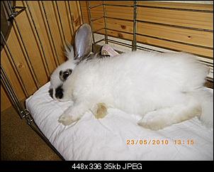 Fynn mit Frauchen im Gep�ck-imgp1226.jpg