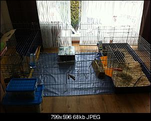 Huhu :-)-foto-1-.jpg