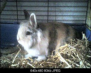 meine tierfamilie was habt ihr f�r tiere?-09-02-09_1003.jpg