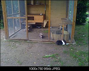 Snoopy und Fibie  sind eingezogen!-img_0196.jpg