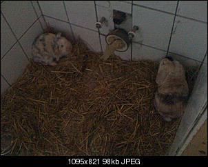 Hilfe meine VG ist sooooo ����.-img_0286.jpg
