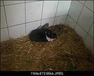Hilfe meine VG ist sooooo ����.-img_0285.jpg