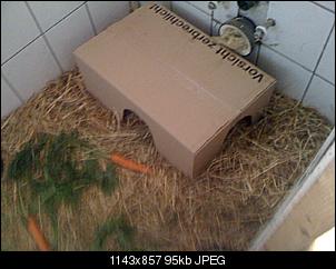Hilfe meine VG ist sooooo ����.-img_0279.jpg
