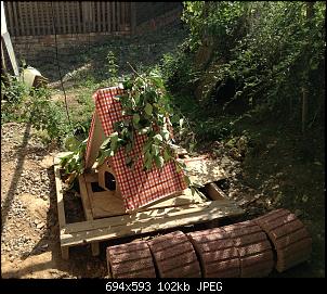 Nun bin ich auch da :)-image.jpg