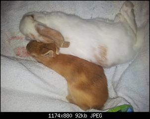 Meine Lilly und mein Bubi :)-20130811_194834%5B1%5D.jpg