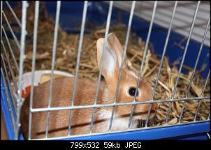 Neu hier und ratlos-img_7276.jpg