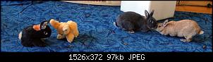 M�nnlich, ledig, jung sucht ....-img_2218.jpg