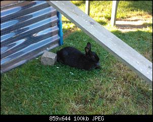 Unsere "Garten-Gang"-wp_001325.jpg