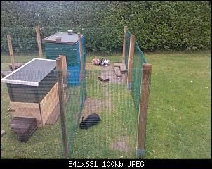Unsere "Garten-Gang"-wp_001372.jpg