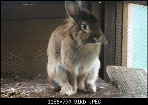 Klicke auf die Grafik f�r eine gr��ere Ansicht

Name:	104_0054.jpg
Hits:	99
Gr��e:	90,8 KB
ID:	24386