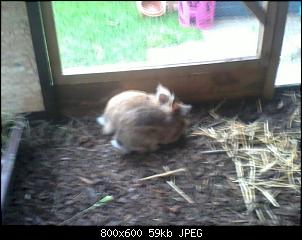 Klicke auf die Grafik f�r eine gr��ere Ansicht

Name:	IMG-20130915-WA0010.jpg
Hits:	93
Gr��e:	58,8 KB
ID:	24387