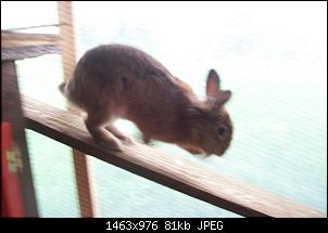 Klicke auf die Grafik f�r eine gr��ere Ansicht

Name:	104_0059.jpg
Hits:	112
Gr��e:	81,4 KB
ID:	24388