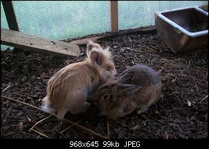 Bilder der E's-104_0071.jpg