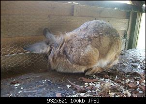Bilder der E's-104_0076.jpg