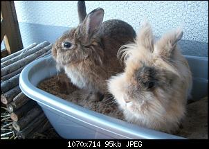 Bilder der E's-104_0104.jpg