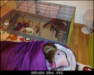 M�chte unseren Kleintierzoo vorstellen :-)-image.jpg