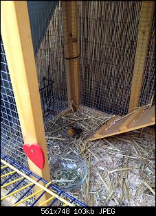 M�chte unseren Kleintierzoo vorstellen :-)-image.jpg