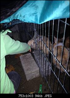 M�chte unseren Kleintierzoo vorstellen :-)-image.jpg