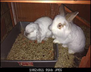 Neu hier!-img_2340.jpg