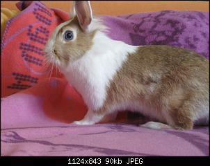 Luna und Rex sind neu hier!♥-img_0087.jpg