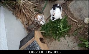 Hallo Leute :)-20131030_173013.jpg