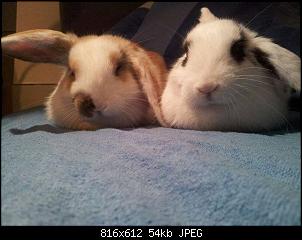 Hallo Leute :)-969206_195401647283255_1865439276_n.jpg