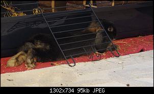 Larg und Rika-dscf1854.jpg