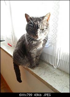 Hallo Leute :)-382826_138865972936823_223929831_n.jpg
