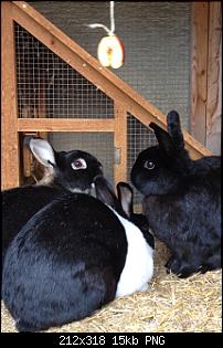 Hier sind die Buddelk�nige!!!-k-img_2645.jpg