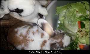 Hallo Leute :)-img-20131105-wa0029.jpg