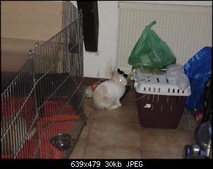 M�nnlich, ledig, jung sucht ....-2013-11-08-07.26.24.jpg