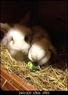 Hier sind die Buddelk�nige!!!-k-img_2704.jpg
