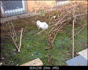 Hier sind die Buddelk�nige!!!-k-img_2784.jpg