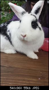 Hallo Leute :)-577529_243486195808133_1780328350_n.jpg