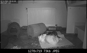 Unsere vier Wackelnasen-snap_20131123-201210.jpg