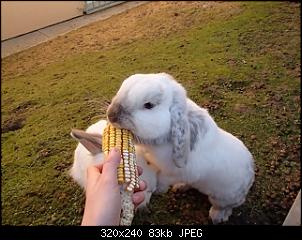 Hier sind die Buddelk�nige!!!-k-pc020052.jpg