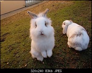 Hier sind die Buddelk�nige!!!-k-pc020062.jpg