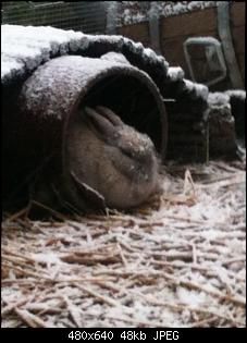 Der erste Schnee-k640_img_1575.jpg