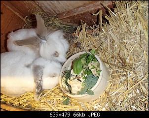 Hier sind die Buddelk�nige!!!-k-pc080201.jpg