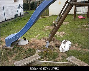 Hallo-dscn2642.jpg