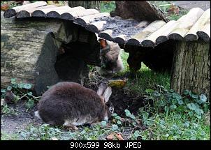 Die Runddorfbewohner-k800_img_7344.jpg