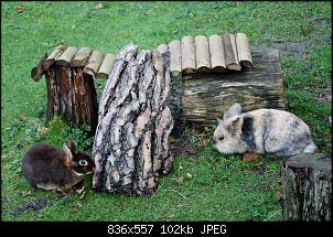 Die Runddorfbewohner-k800_img_7354.jpg