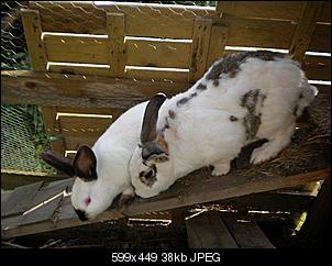 Hallo-dscn2824.jpg