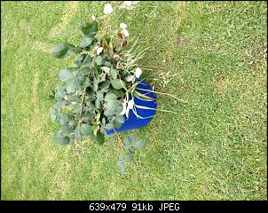 Hier sind die Buddelk�nige!!!-k-img_3291.jpg